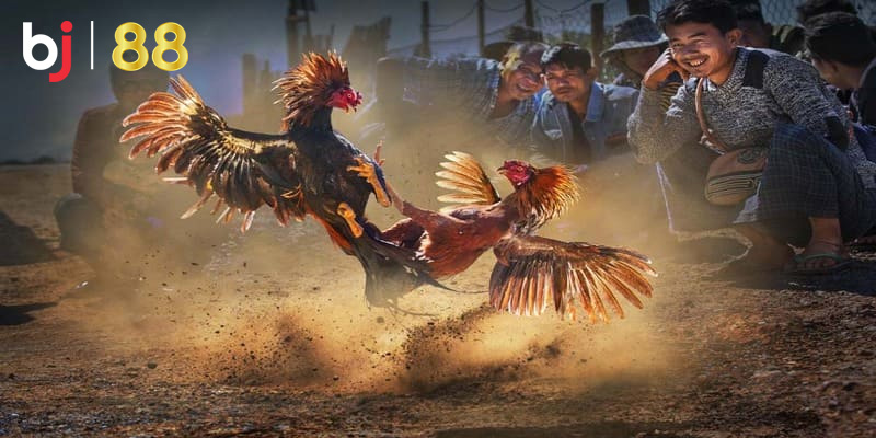 Sảnh SV388 mang đến cho hội viên trải nghiệm tốt nhất