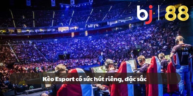 Kèo Esport hiện tại đang có sức hút riêng biệt, thu hút được nhiều người chơi