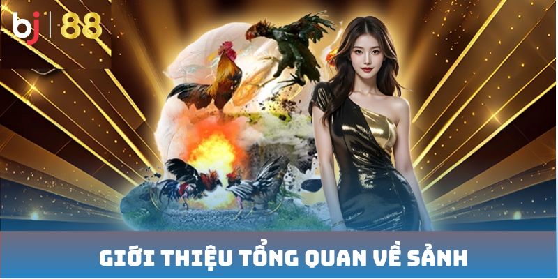 Giới thiệu tổng quan về Sảnh