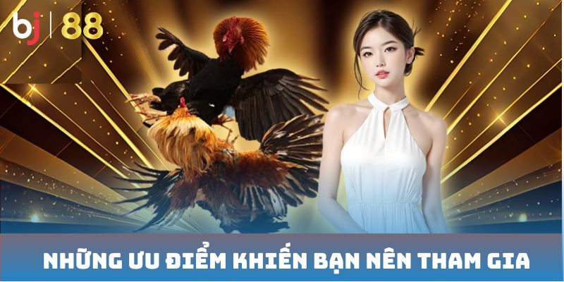 Những ưu điểm khiến bạn nên tham gia