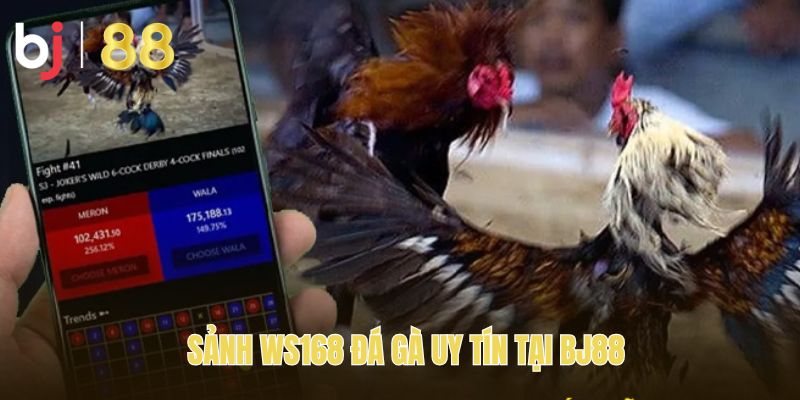 Sảnh WS168 đá gà uy tín tại BJ88