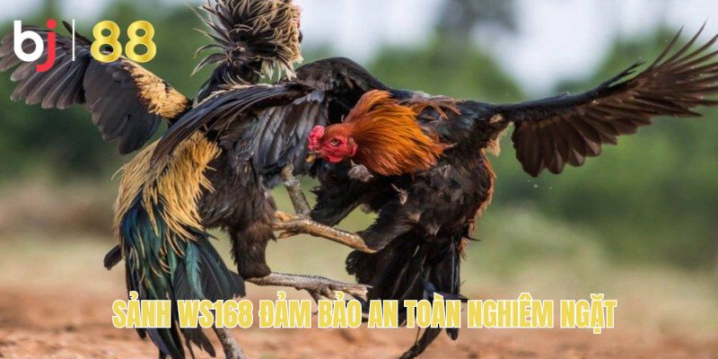 Sảnh WS168 đảm bảo an toàn nghiêm ngặt